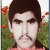 قارداشعلی محمدی.jpg